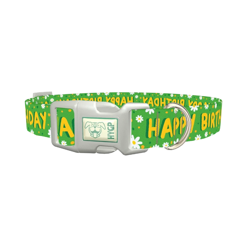 Birthday Floral Dog Collar - plastic silver
