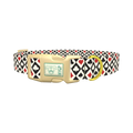 Diamond Card Suit Dog Collar - plastic gold