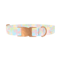 Abstract Pastel Dog Collar - metal rose gold