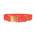 Red Sketch Heart Dog Collar - metal rose gold