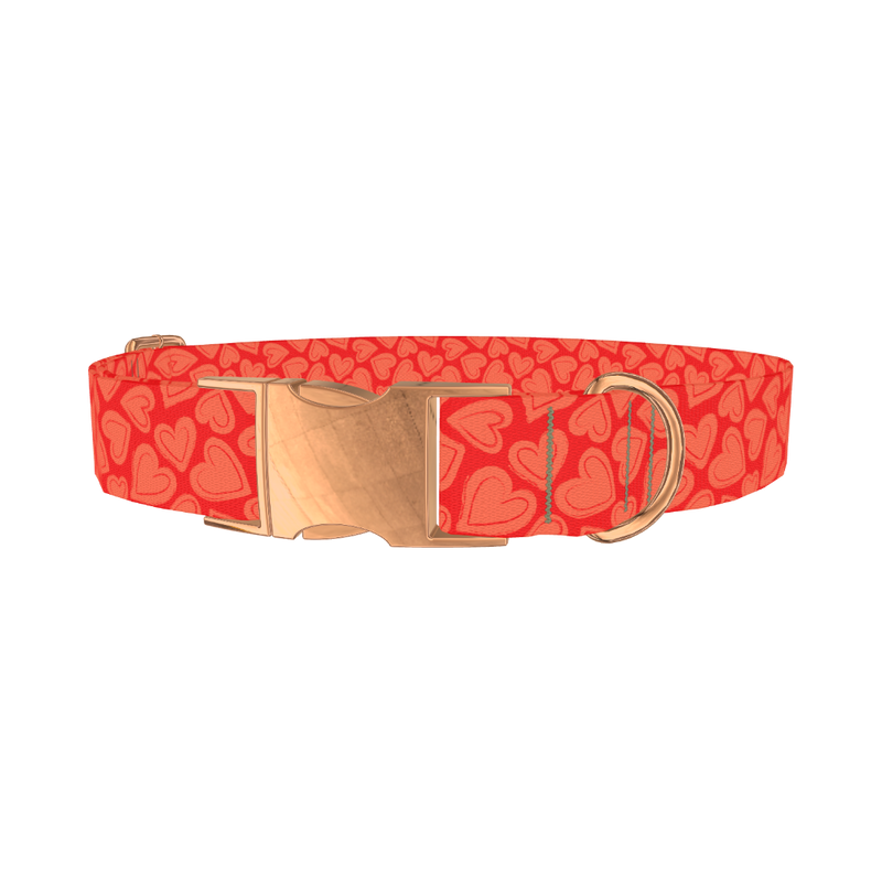 Red Sketch Heart Dog Collar - metal rose gold