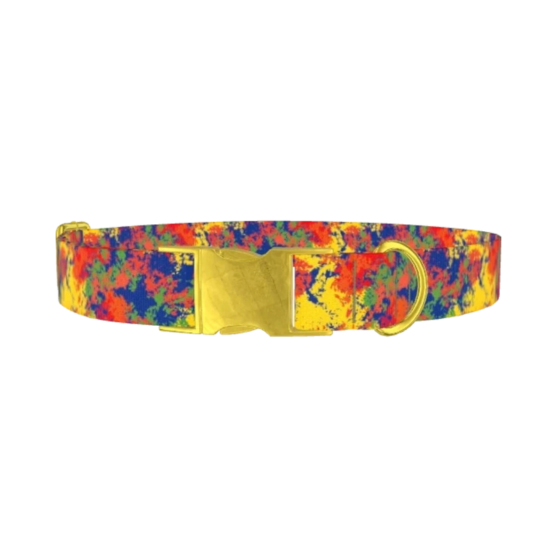Colorful Paint Splatter Dog Collar - metal gold