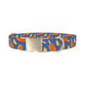 Citrus Popsicle Dog Collar - metal silver