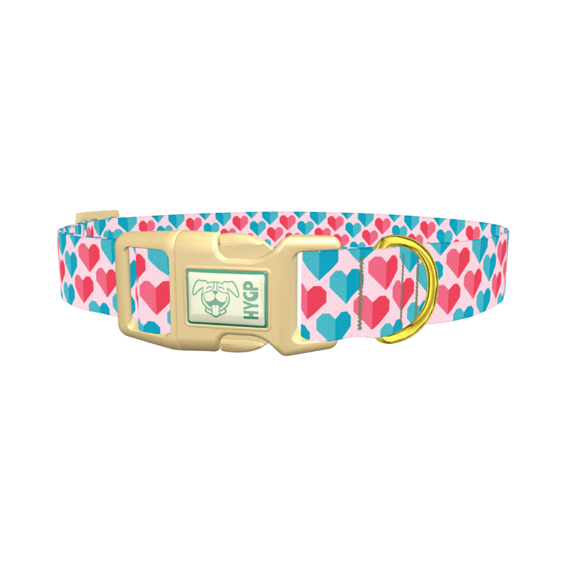Geometric Colorful Heart Dog Collar - plastic gold