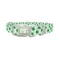 Clover Stripes Dog Collar - plastic silver