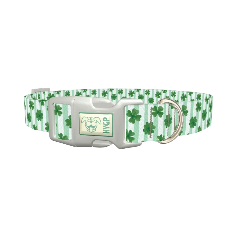 Clover Stripes Dog Collar - plastic silver