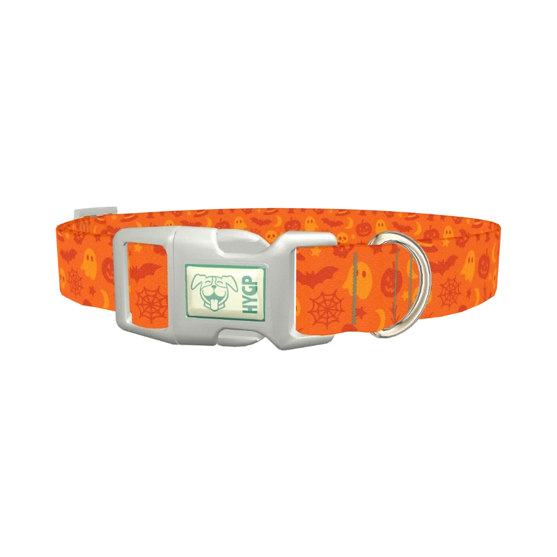 Halloween Mix Dog Collar - plastic silver