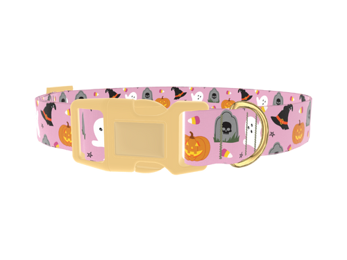 Halloween Trick or Treat Dog Collar
