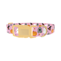 Halloween Trick or Treat Dog Collar - plastic gold