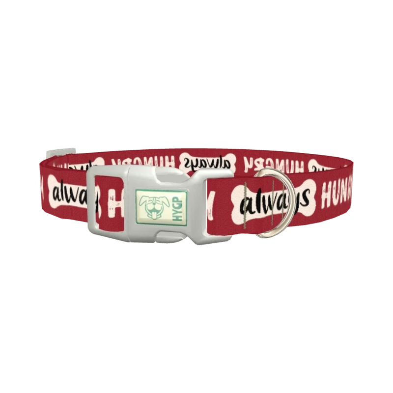 Always Hungry Dog Collar - plastic silver