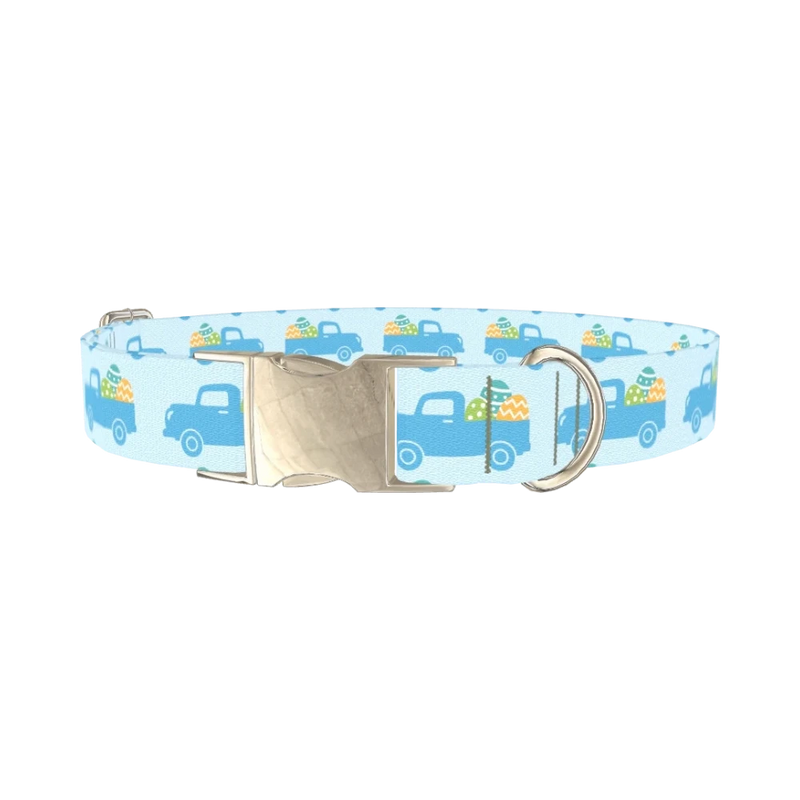 Easter Truck Dog Collar - metal silver