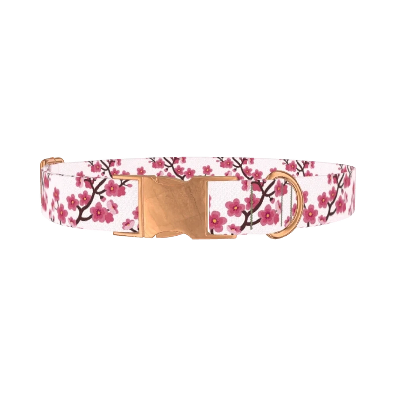 Floral Cherry Blossom Dog Collar - metal rose gold