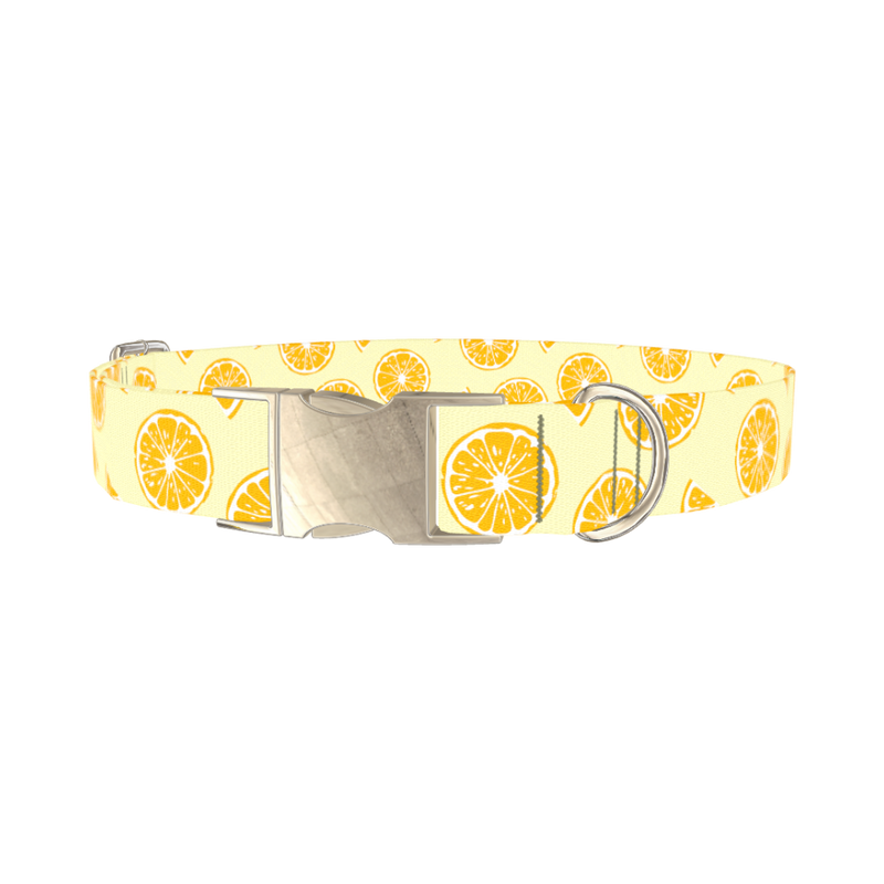 Yellow Citrus Slice Dog Collar - metal silver