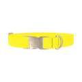 Yellow-Bellied Color Dog Collar - metal silver