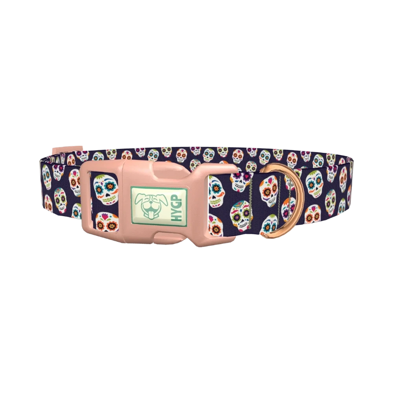 Sugar Skull Dog Collar - plastic rose gold