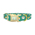 Teal Sushi Roll Dog Collar - plastic gold