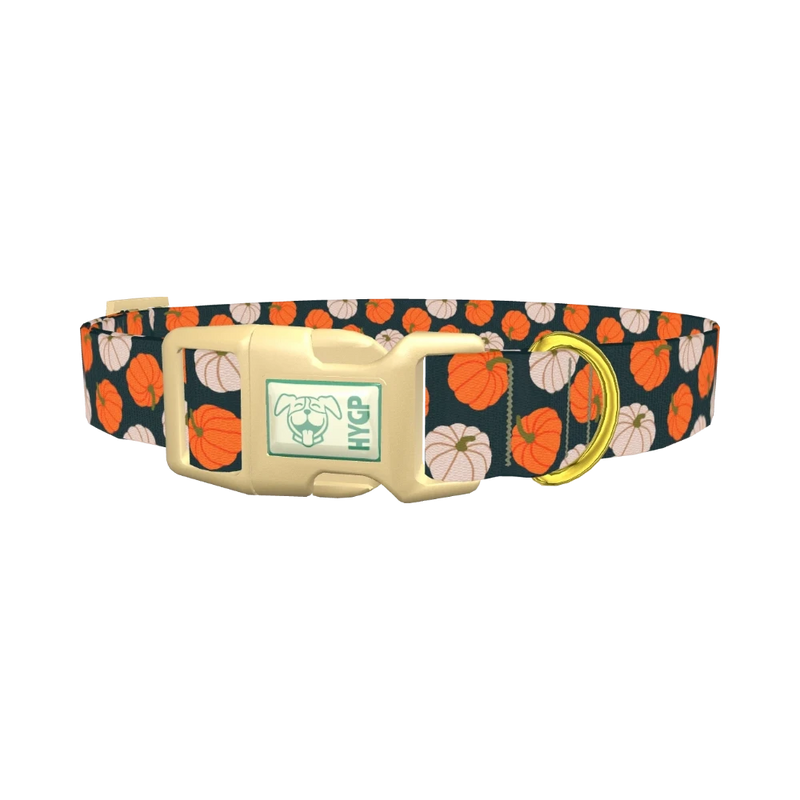 Pumpkin Patch Dog Collar - plastic gold