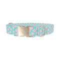 Pastel Valentine Heart Dog Collar - metal silver
