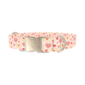 Valentine Hearts Dog Collar - metal silver