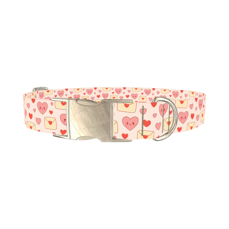 Valentine Hearts Dog Collar - metal silver
