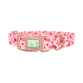 Pink Holly Berry Dog Collar - plastic rose gold