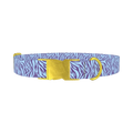 Zebra Stripe Dog Collar - metal gold