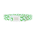 Floral Easter Egg Dog Collar - plastic silver