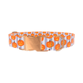 Halloween Pumpkin Stripe Dog Collar - metal silver