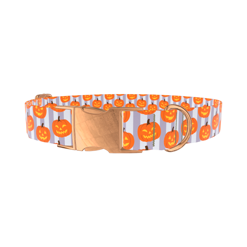 Halloween Pumpkin Stripe Dog Collar - metal silver
