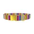 Purple Blue Green Stripes Dog Collar - metal gold