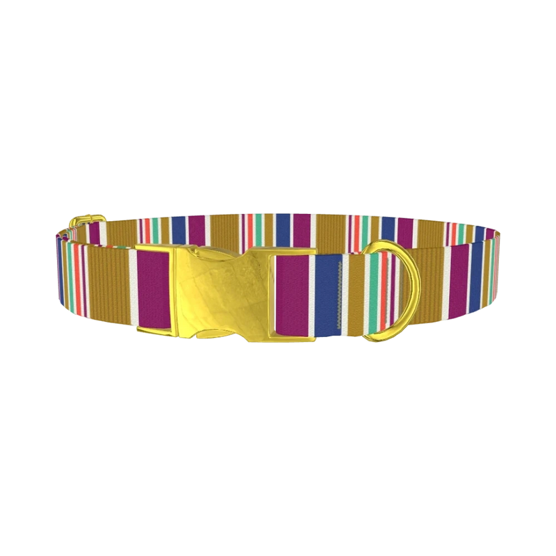 Purple Blue Green Stripes Dog Collar - metal gold