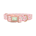 Valentine's Heart Dog Collar - plastic rose gold