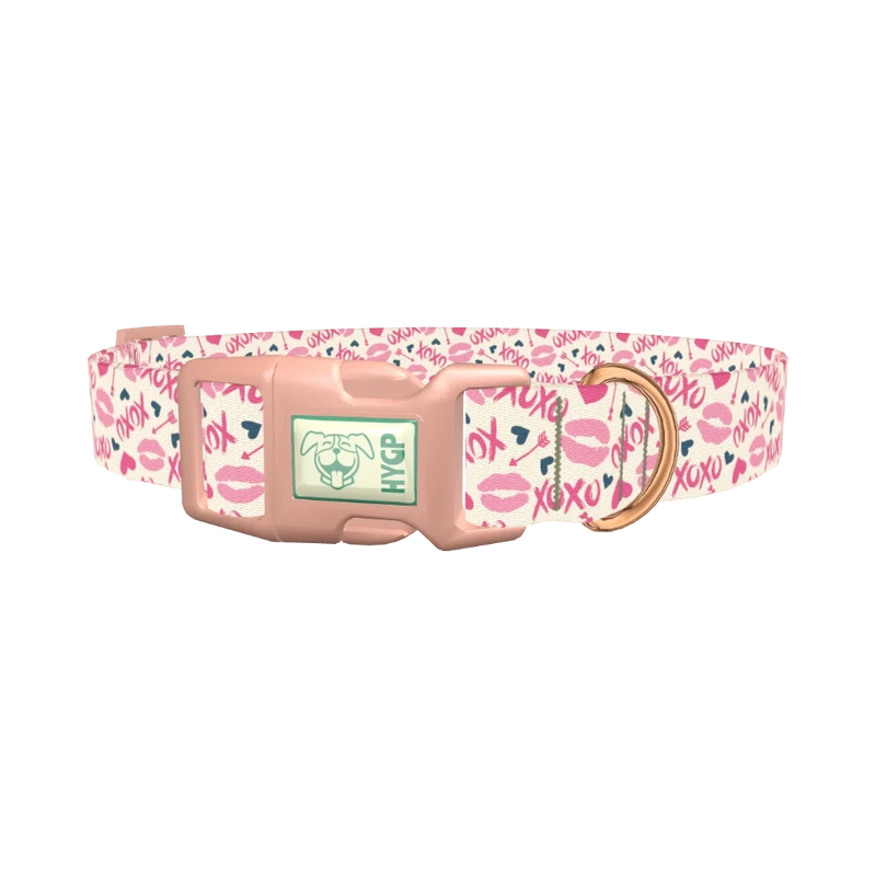 Valentine's Heart Dog Collar - plastic rose gold