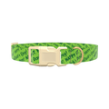 Green St. Patrick's Text Dog Collar - plastic silver