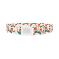 Rose Butterfly Dog Collar - plastic silver