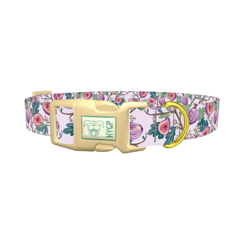 Floral Fig Dog Collar - plastic gold