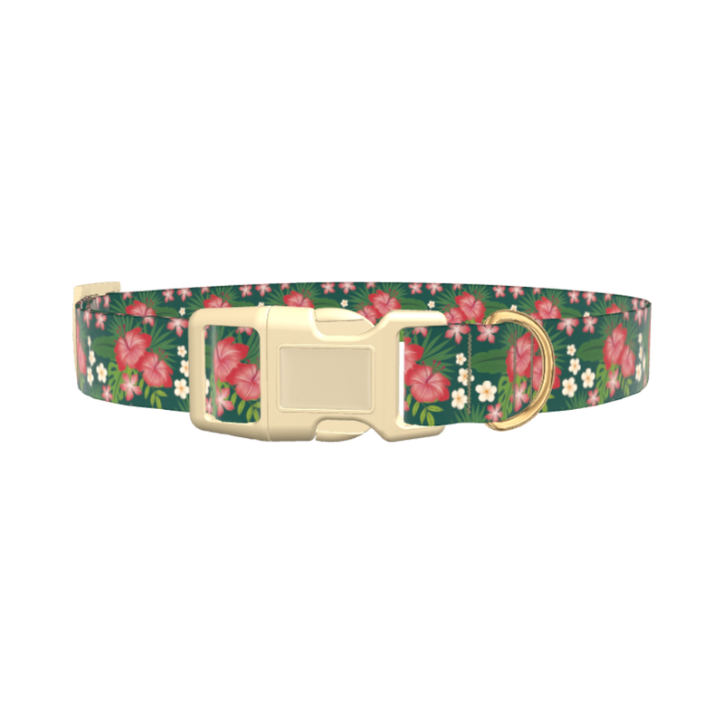 Tropical Floral Dog Collar - plastic silver