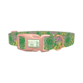 Tie Dye Spiral Dog Collar - plastic rose gold