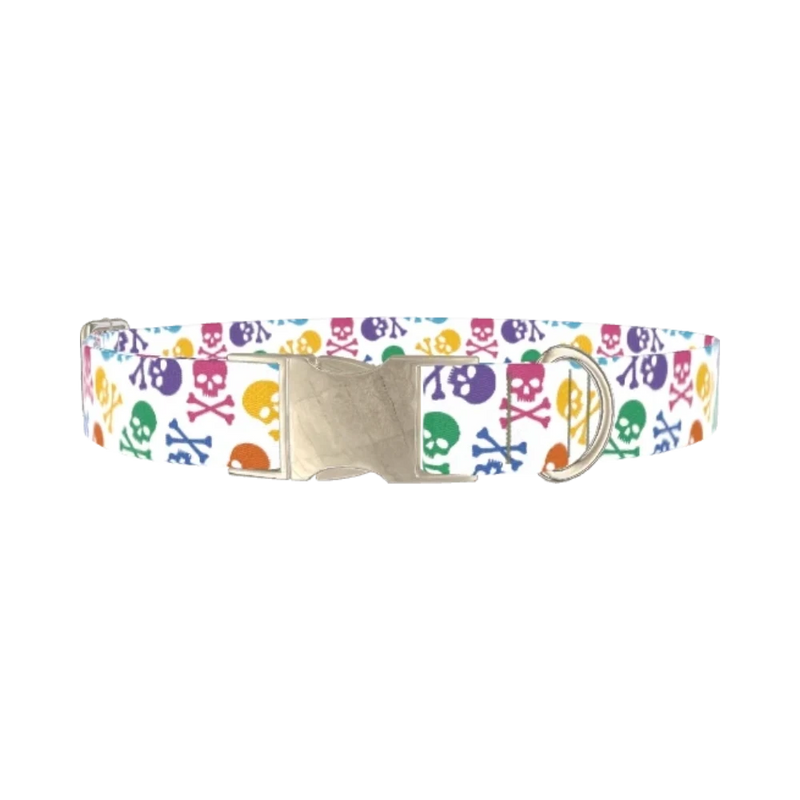 Colorful Skull Pattern Dog Collar - metal silver