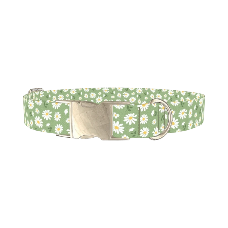 Green Daisy Dog Collar - metal silver
