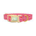 Valentine Love Dog Collar - plastic gold
