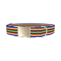Colorful Layered Stripe Dog Collar - metal silver