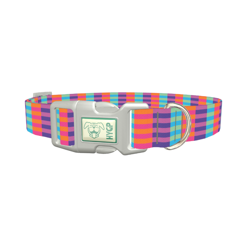 Color Block Stripes Dog Collar - plastic silver