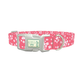 Floral Pink Dog Collar - plastic silver