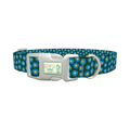 Blue Daisy Floral Dog Collar - plastic silver