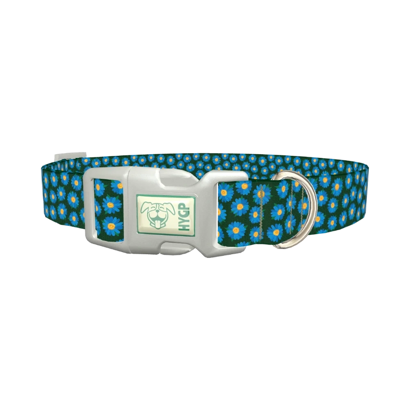 Blue Daisy Floral Dog Collar - plastic silver
