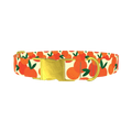Fruit Orange Dog Collar - metal gold