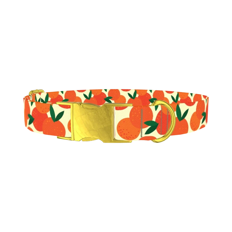 Fruit Orange Dog Collar - metal gold