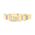 Pastel Stripe Dog Collar - plastic silver