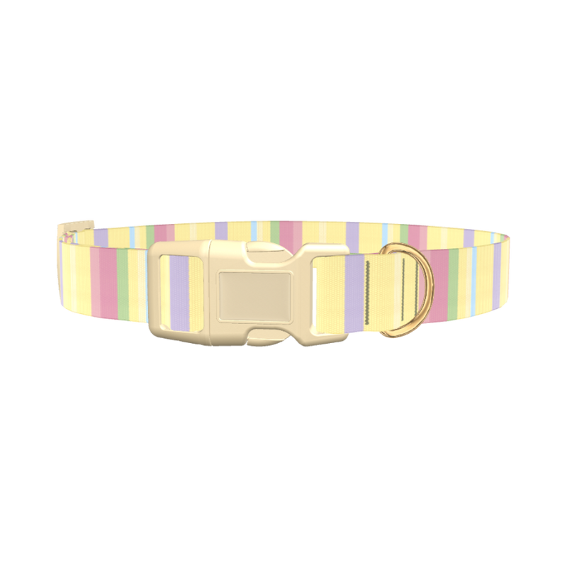 Pastel Stripe Dog Collar - plastic silver